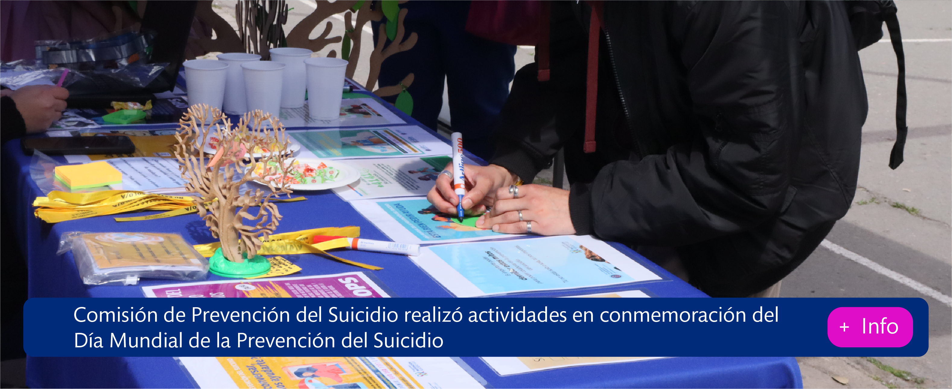 Prevencion suicidio